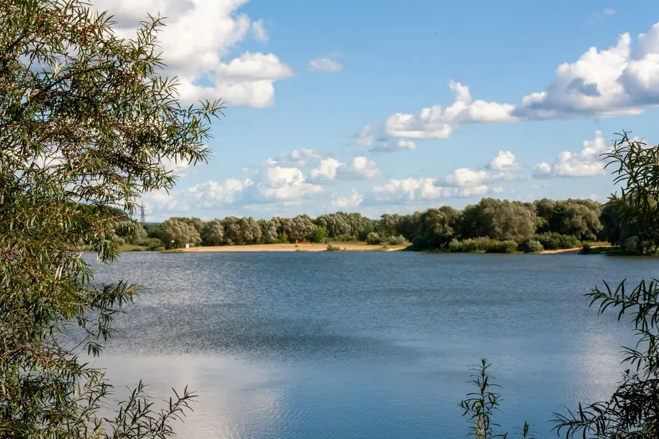 Vista de un lago tranquilo rodeado de árboles bajo un cielo con nubes.